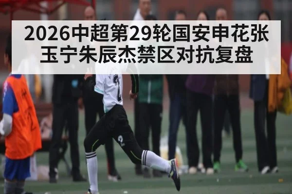 2026中超第29轮国安申花张玉宁朱辰杰禁区对抗复盘